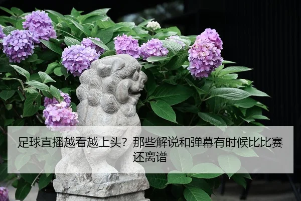 足球直播越看越上头？那些解说和弹幕有时候比比赛还离谱